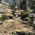 Kindererlebnis- Und Biobauernhof Hipp-bruckner * Wornharts