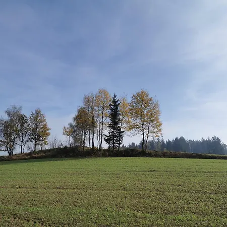 Kindererlebnis- Und Biobauernhof Hipp-bruckner