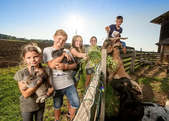 Kindererlebnis- Und Biobauernhof Hipp-bruckner Wornharts